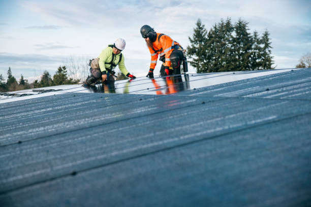 Trusted Metal Roofing service in Florissant, CO - Ben Roofing and Steel LLC